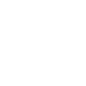Disala