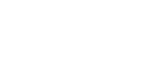 NetPlus