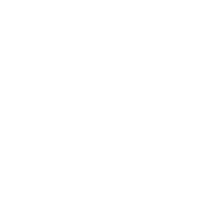 Vikingos